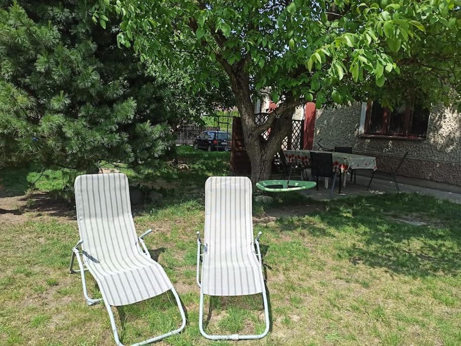 Apartament Pod Orzechem Augustów Buitenkant foto